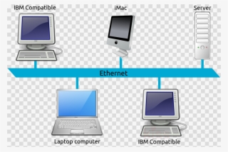 Download Local Area Network Png Clipart Local Area #6408720