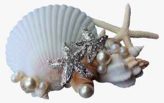 Report Abuse - Party #6409096