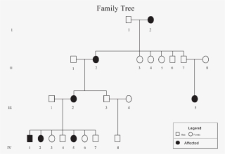Family Tree 3 Generations - Family Tree Generations #6416582 Family Tree 3 Generations - Family Tree Generations #6416582