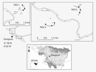 Study Site Locations In The Floodplain Of The Ebro - Spain #6416632