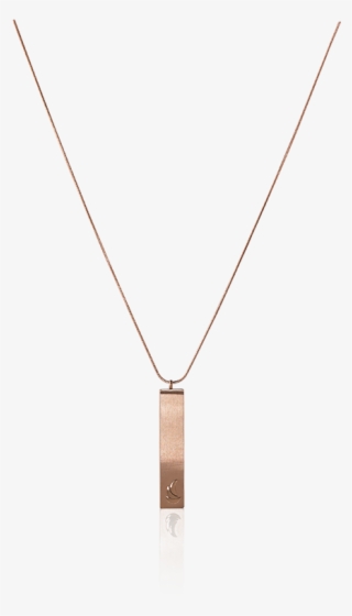 Absolute Chic #6417062