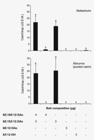 Cydia Strobilella Males Caught In Traps Using Different #6418305