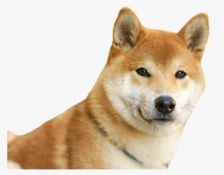 File History - Photography #6419335