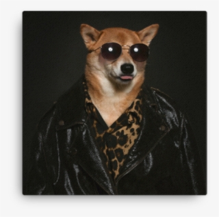 Mensweardog Blep Canvas - Dog #6419702