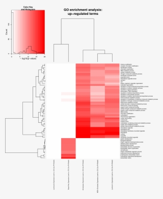 Go Significance Heatmap #6419768
