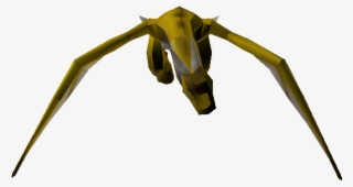Download Zip Archive - Insect #6420707