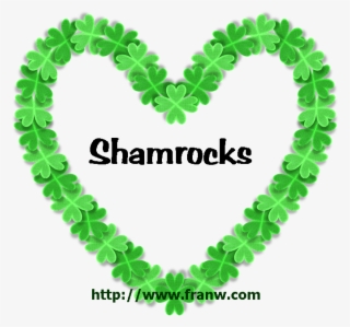 Cultural & Botanical Information - St Patricks Day Feet #6421441