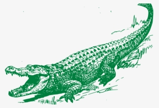 Clip Art With Transparent Background - Crocodile Black And White #6421811