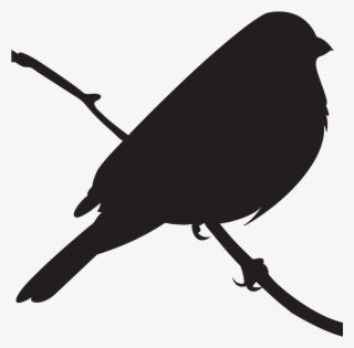 Varied Bunting #6423268