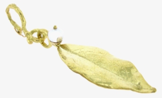 Pe - 700 - P - Portable Network Graphics #6425196