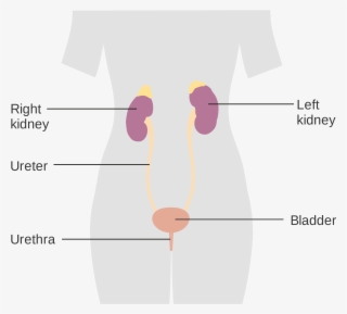 Open - Diagram #6426481