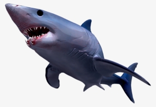 Mako Shark - Hungry Shark Evolution #6428892