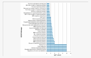 Kegg Orthology Analysis Of The Most Abundant Mirnas #6429545