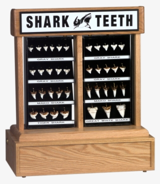 Kit 3a - Display Case #6429721