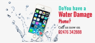 Grand Teton National Park, Mount Moran #6430397