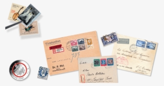 Welcome To Our Stamp And Coin Shop - Duitsland 5 Euro Tropische Zone 2017 #6430522