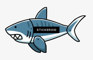 Shark Pic - Tiger Shark #6430818