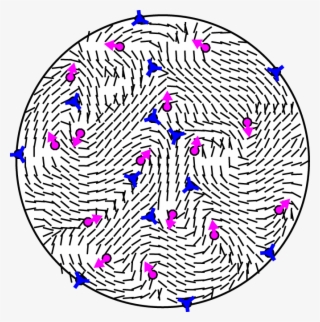 Activenematic Turb - Circle #6432526