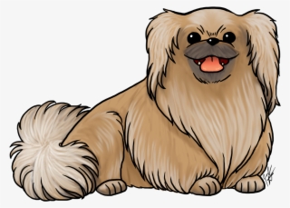 Breed Of The Month Is The Pekingese Check Out All The - Dog Breed #6434572