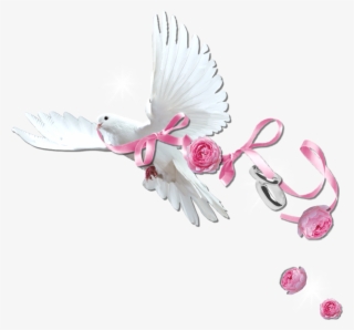 Cheyokota Digital Scraps - Wedding Scraps Png #6436273