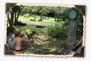 Darts #6438217
