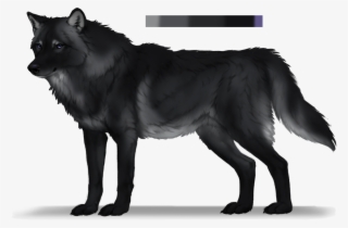 For Dead Anyway - Schipperke #6438626