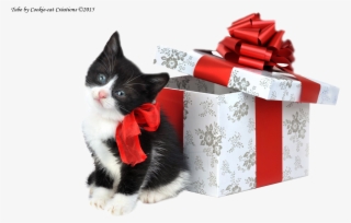 Cookie Cat Créations - Christmas Puppy And Kitten #6440070