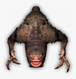 Rancor2 #6441468