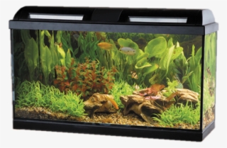 Acuario Fluval Marina Style - Marina Style 35 Tropical Aquarium Set 35 Litres #6441588