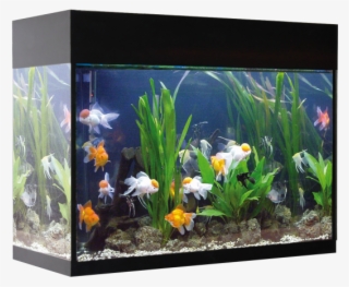 Kit Aqualux 45l Filtro Interior Negro - Acuarios De 50 Litros #6442275