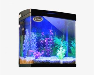 Kit De Acuario Rectangular Negro - Articulos Para Peces #6442377