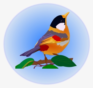 Clipart P Ssaro Multicolor Big Image Png - Clip Art #6442606