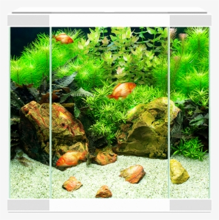 Collection Only - Ciano Aquarium Black 25 Litre #6442784