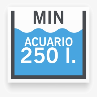 Tamaño De Acuario Mínimo Para Chaetodon Collare - Sat Kurier #6442848