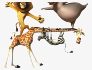 Penguins Of Madagascar Clipart Gloria - Tes Active And Passive Voice Ks3 Worksheets #6443972