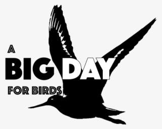 Big Day 2016 Logo Crop - Logo #6444250