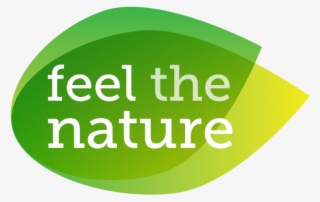 Conquer Fear Is The Beginning Of Wisdom #6445043