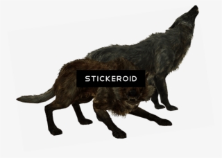 Elder Scrolls Skyrim Wolves - The Elder Scrolls V: Skyrim #6445503