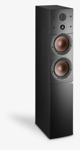 Dali Callisto 6 C Black Finish - Dali Callisto 6 C #6445872