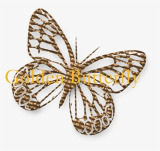 Cute Gold Butterfly Aluminum License Plate - Cute Gold Butterfly Shower Curtain #6446346