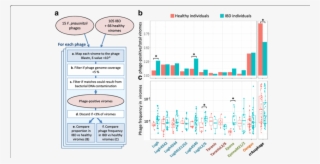 Prausnitzii Phages In Healthy Versus Ibd-diseased Individuals - Diagram #6447045