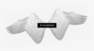 White Angel Wings #6447166