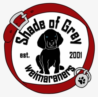 2018 Shade Of Grey Weimaraners - Testing #6448769