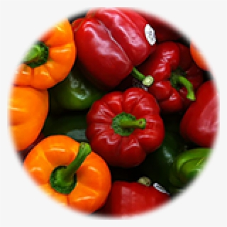 Perec 01 - Pepper Seeds Colorful Mix High Quality Sweet Bell Pepper #6450633