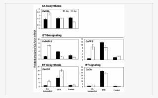 Induction Of Defense Genes In Pepper Roots After Exposure - Diagram #6450696