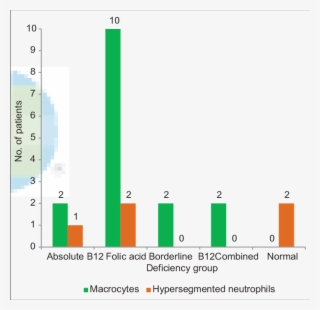 The Distribution Of Macrophages And Hypersegmented - Diagram #6456175