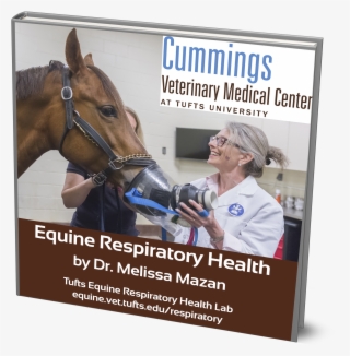 Download Equine Respiratory Health E-book By Dr - Book #6457115