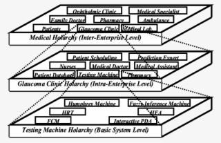 Medical Holarchy - Diagram #6459003