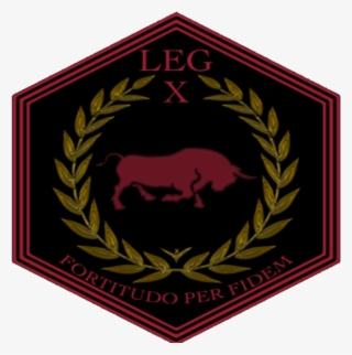 10th Legion Big #6459951