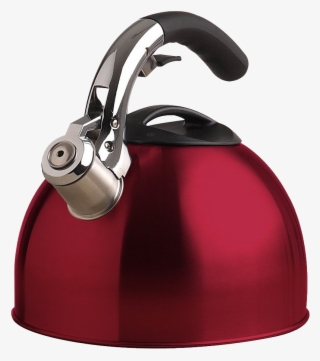 Download - Primula Soft-grip Tea Kettle, Stainless Steel #6461797